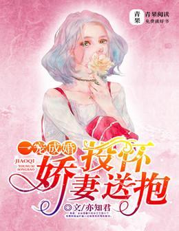 一寵成婚：嬌妻投懷送抱