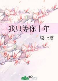 我只等你十年