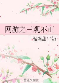 網游之三觀不正