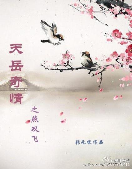 天岳奇情之風起邊塞