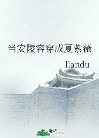 當安陵容穿着夏紫薇