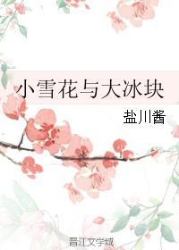 小雪花與大冰塊