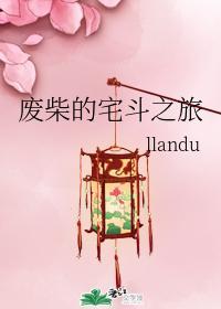 廢柴的宅鬥之旅