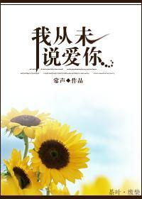 我從未說愛你