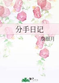 分手日記