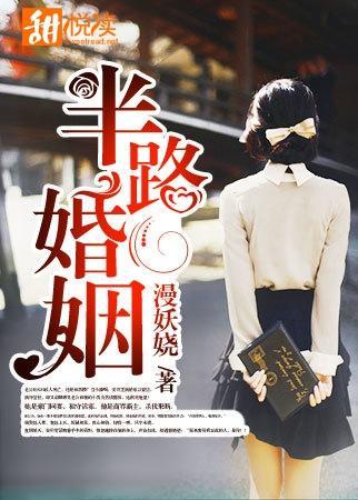 半路婚姻