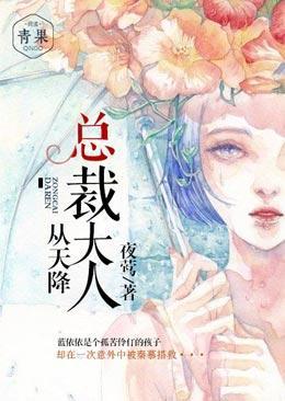 總裁大人從天降