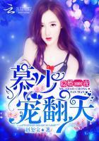 隐婚1001夜：慕少，寵翻天！