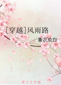 [穿越]風雨路