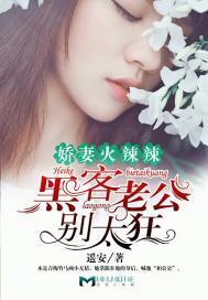 嬌妻火辣辣：黑客老公別太狂！