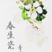 春生瓷（GL）