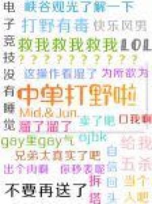 中單打野啦