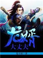 龍婿大丈夫