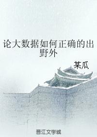 論大數據如何正确的出野外