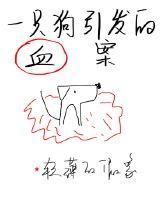 一只狗引發的血案