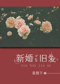 新婚舊愛