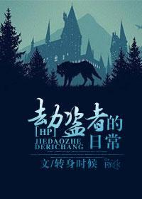 [HP]劫盜者的日常