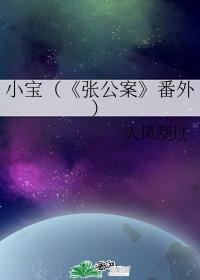 小寶（《張公案》番外）