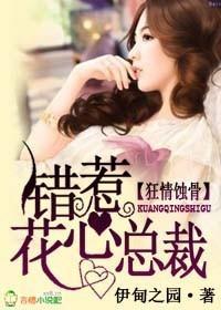 狂情蝕骨，錯惹花心總裁