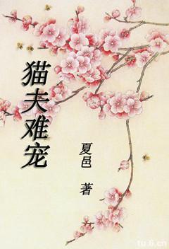 貓夫難寵