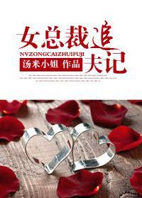女總裁追夫記