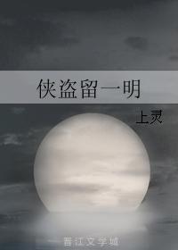 俠盜留一明