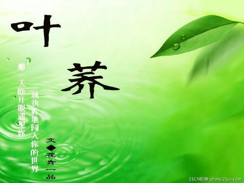 葉荞（異世重生）