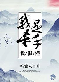 我是殺手我很懵