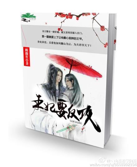 穿越之王妃要反攻