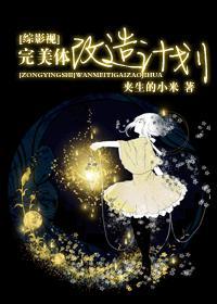 [綜影視]完美體改造計劃