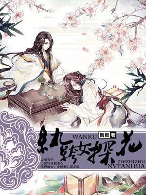 纨绔女探花