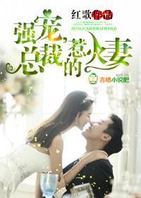 強寵，總裁的惹火妻