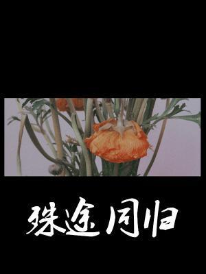 殊途同歸