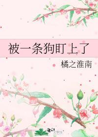 被一條狗盯上了