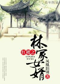 紅樓之林家女婿