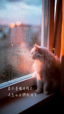 我太渣了