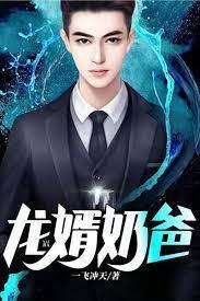 龍婿奶爸