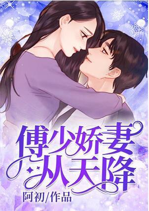 傅少嬌妻從天降