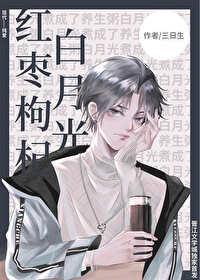紅棗枸杞白月光