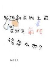 上司