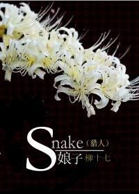 獵人同人——Snake（娘子）