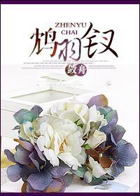 鸩羽釵GL