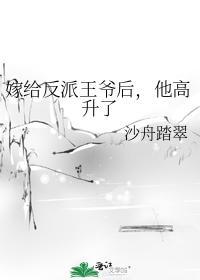 嫁給反派王爺後，他高升了