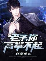 老子，你高攀不起