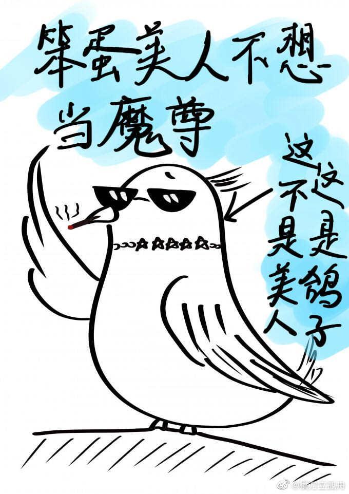 笨蛋美人不想當魔尊