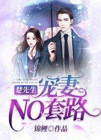 楚先生，寵妻NO套路