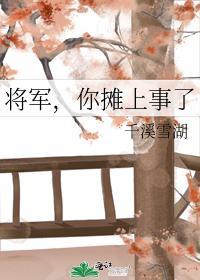 将軍，你攤上事了