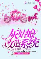 灰姑娘改造系統