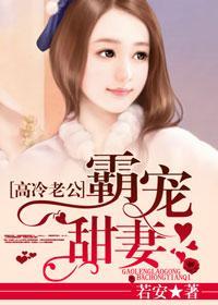 高冷老公霸寵甜妻