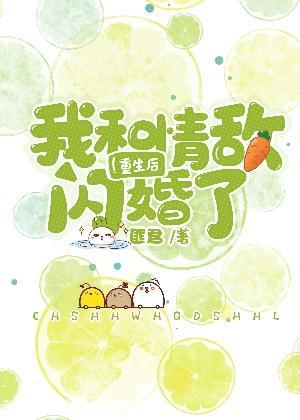 重生後我和情敵閃婚了